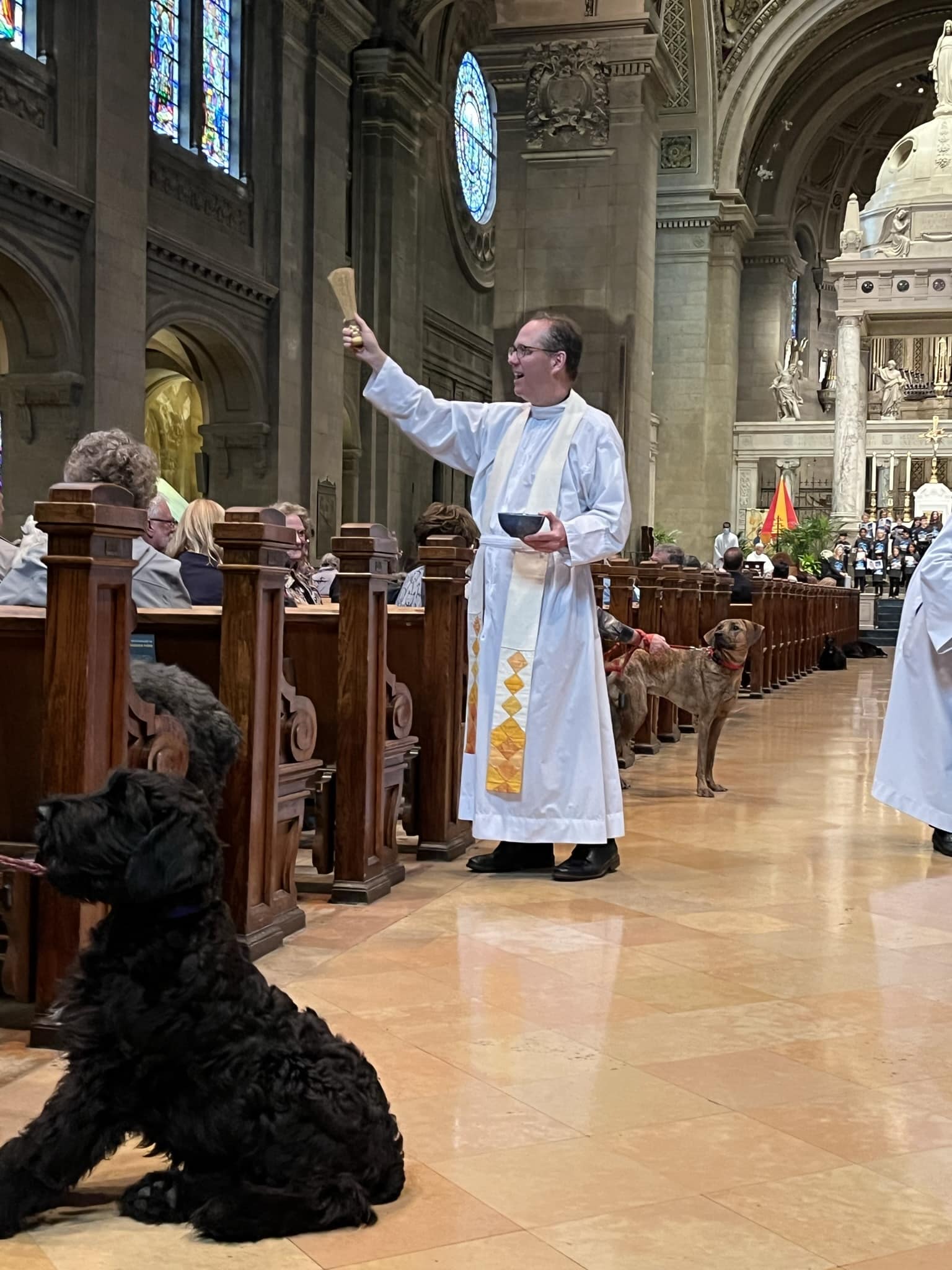 Fr. Daniel Griffith Blessing of the Animals 2022