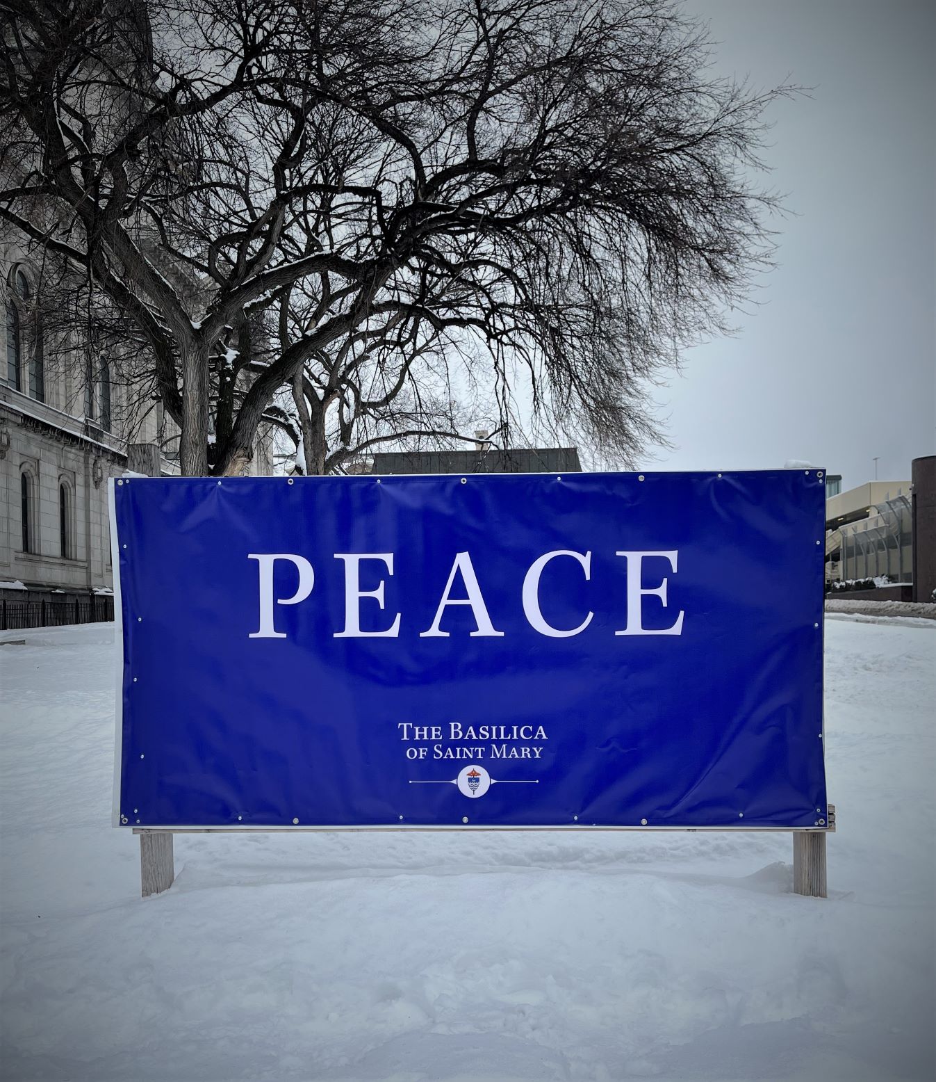 Peace Sign Winter